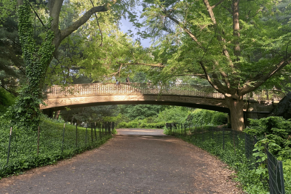 Central Park Bridle Path