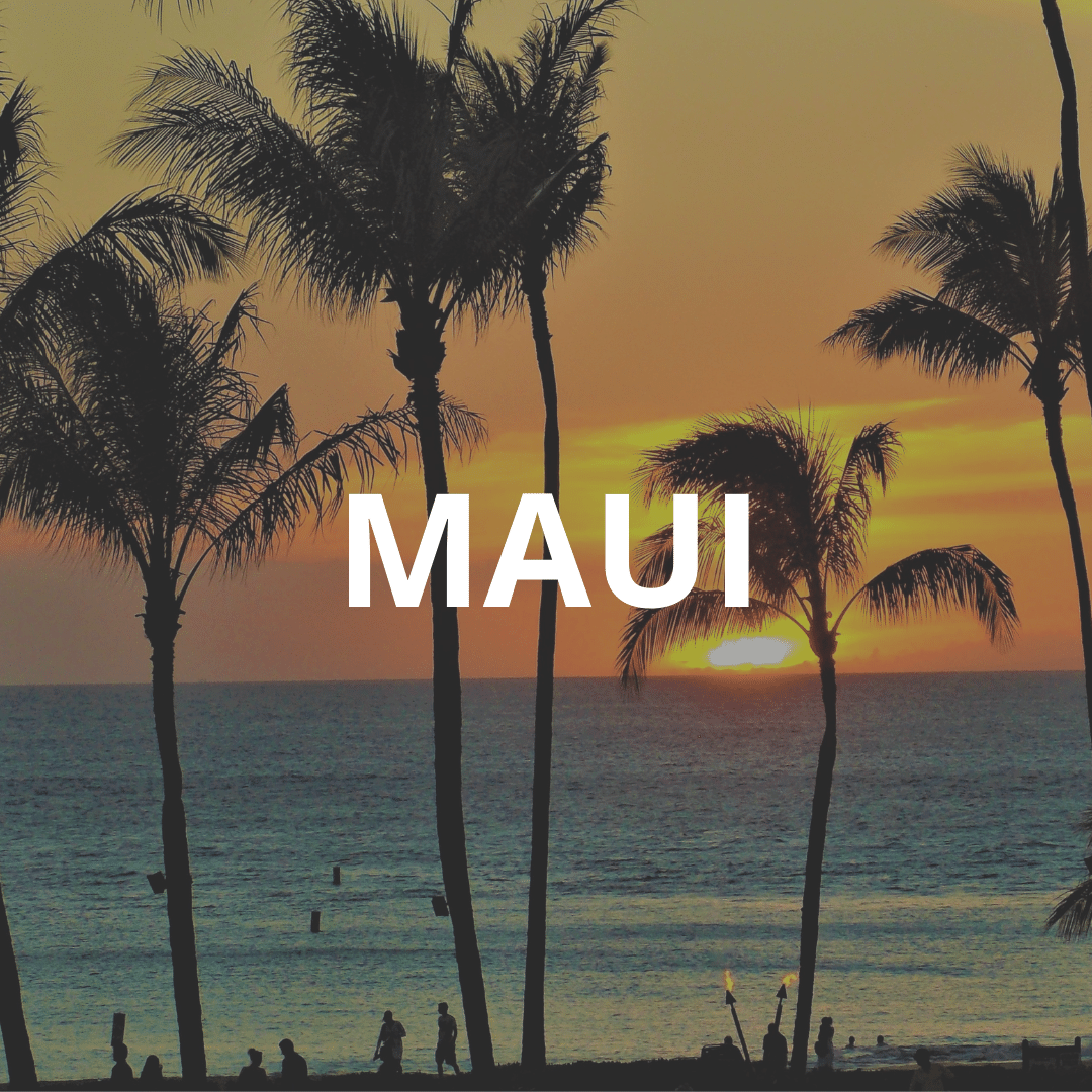 WHAT TO DO ON MAUI