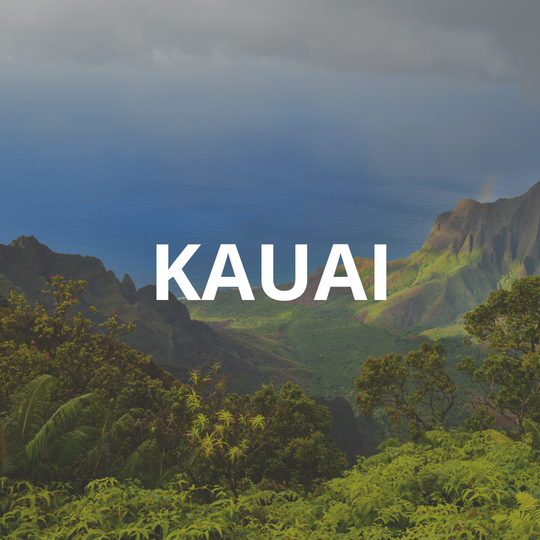 WHAT TO DO ON KAUAI