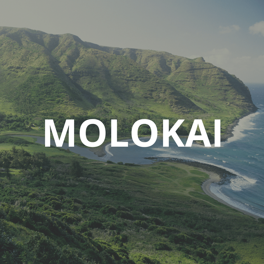 WHAT TO DO ON MOLOKAI