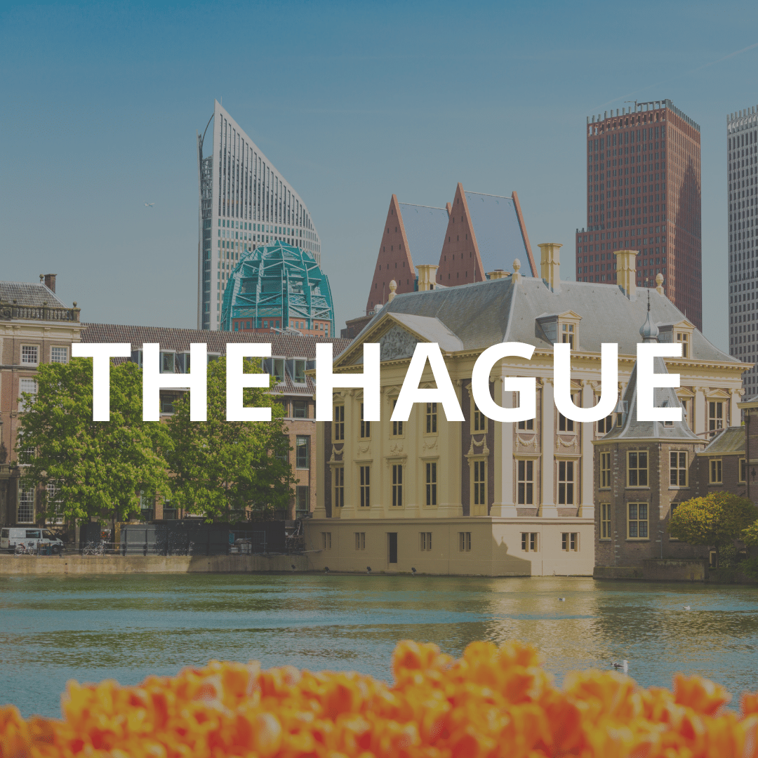 WHAT TO DO IN THE HAGUE