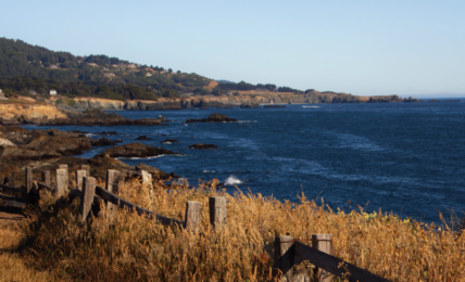 what to do in sea ranch
