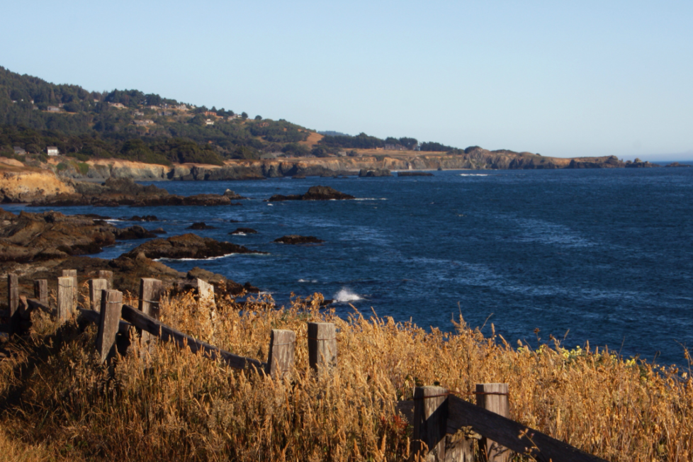 what to do in sea ranch