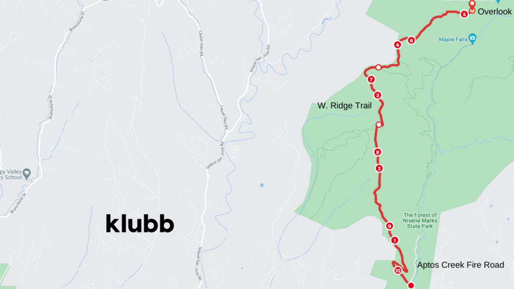 W Ridge Trail - The Forest of Nisene Marks Sate Mark (11 miles)