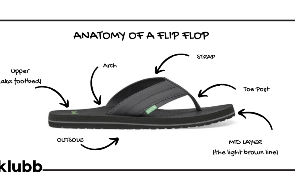 anatomy of a flip flop