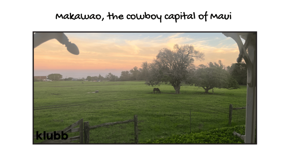 cowboy capital of maui