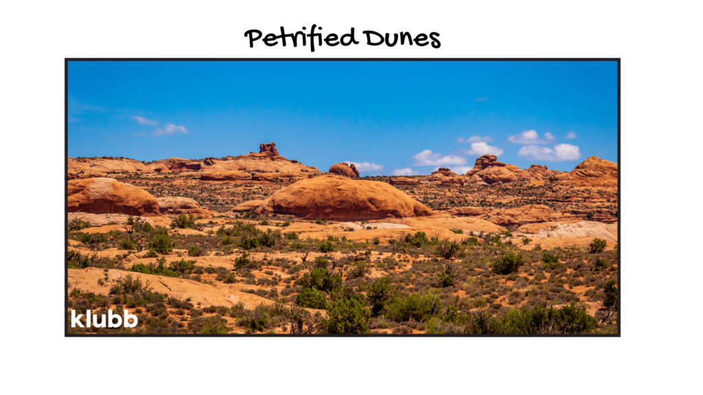 Petrified Dunes Viewpoint at arches national park