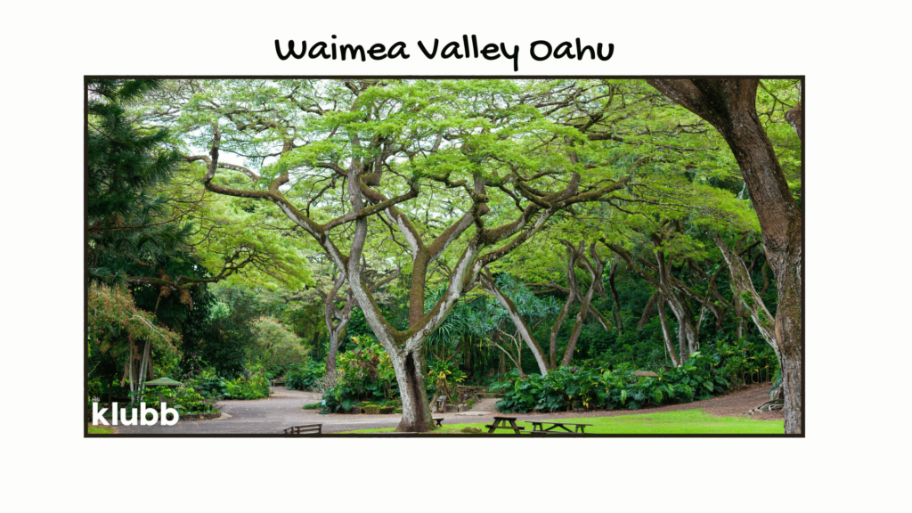 Waimea Valley Trail Oahu