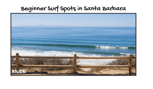 Beginner Surf Spots in Santa Barbara