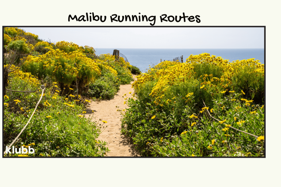 Malibu Running Routes