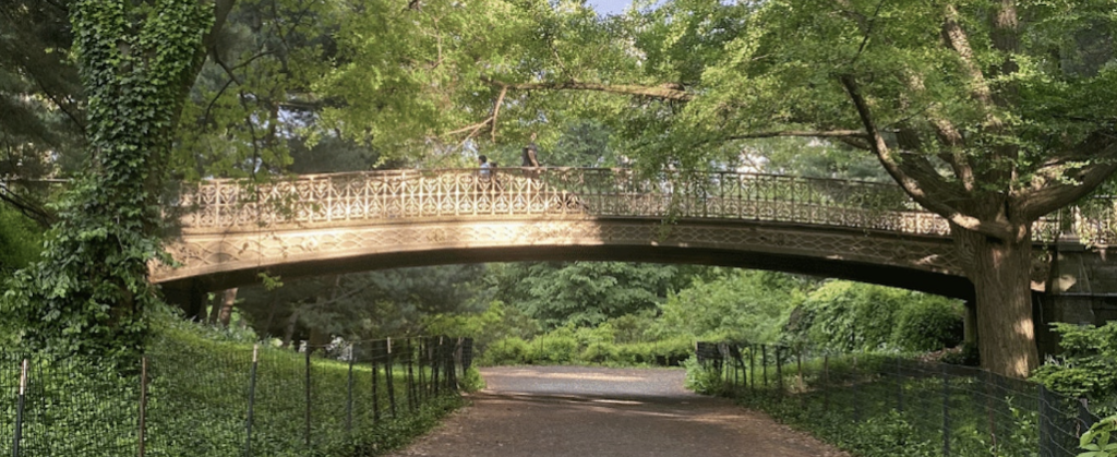 running the bridal path in central park