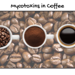 mycotoxins in coffee